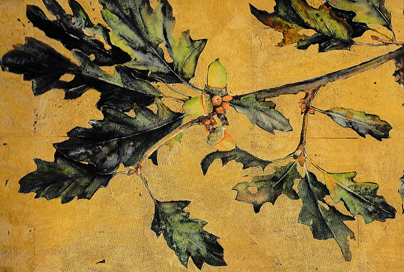 Oak branch and leaves