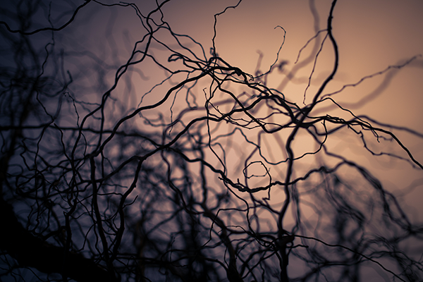 Fright invites a deeper look